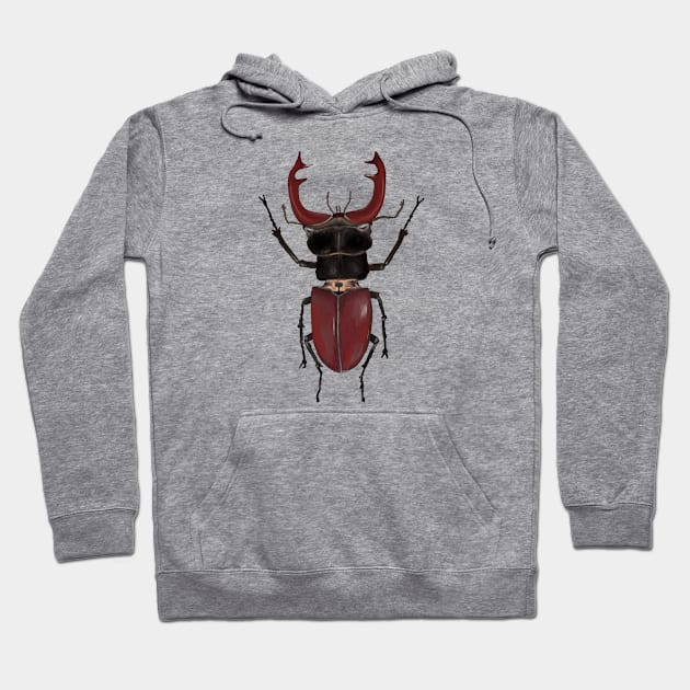 European Stag Beetle Hoodie by artsandherbs